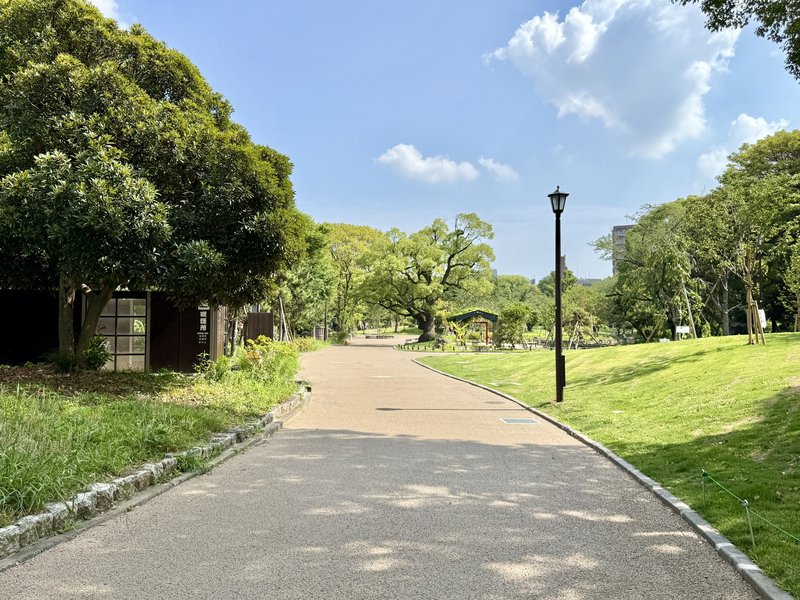 東京の緑の公園の散歩道